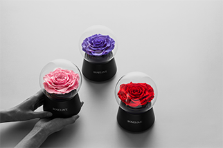 roselove進口永生花