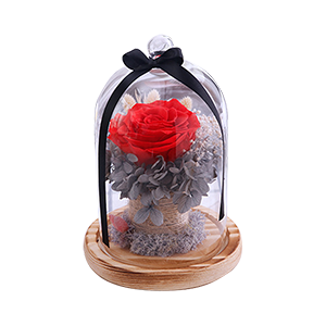 花開永恒:永恒系列保鮮永生花玻璃罩