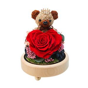 心靈詩篇:永恒系列小熊王子永生玫瑰禮盒