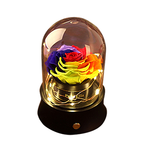 心靈契約:永恒系列彩燈藍(lán)牙音箱玫瑰花