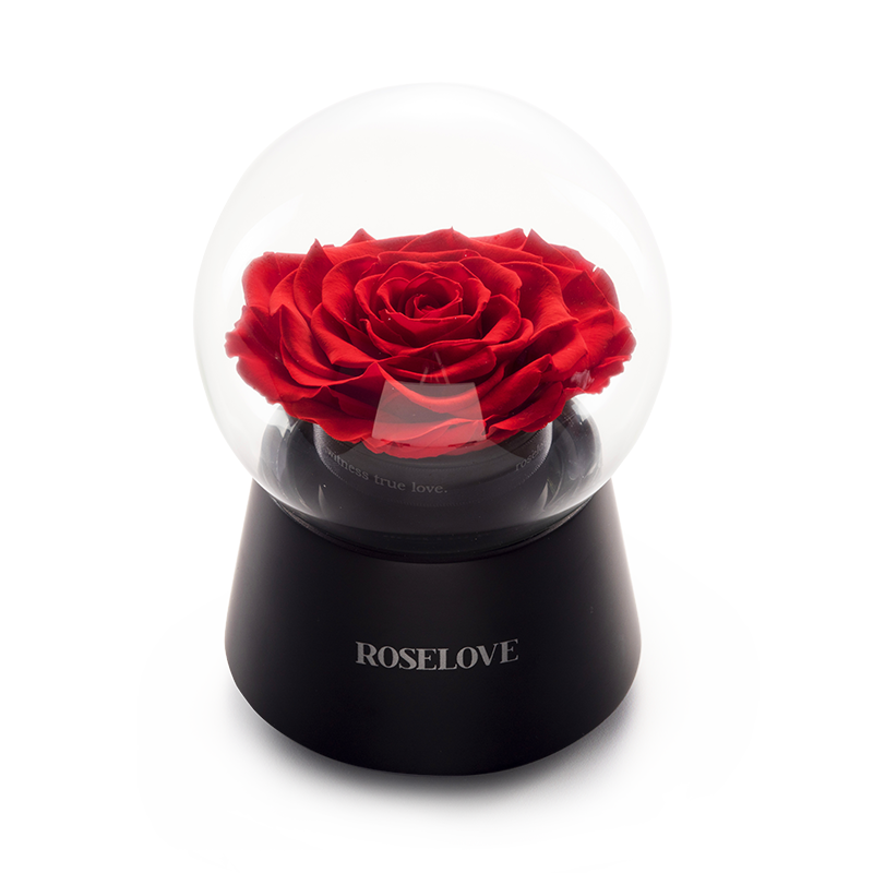 永浴愛河:大型音樂球紅色