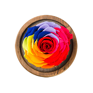 幸福確幸:永恒系列七色保鮮玫瑰永生花